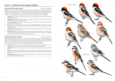 Shrikes of the World (Lefranc, N. 2022)